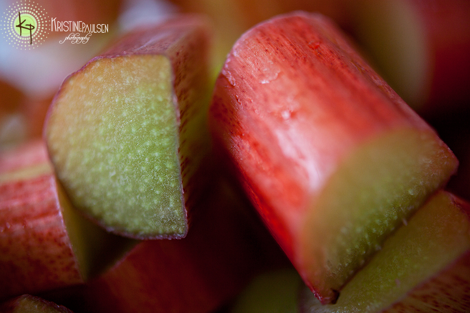 montana rhubarb montana rhubarb
