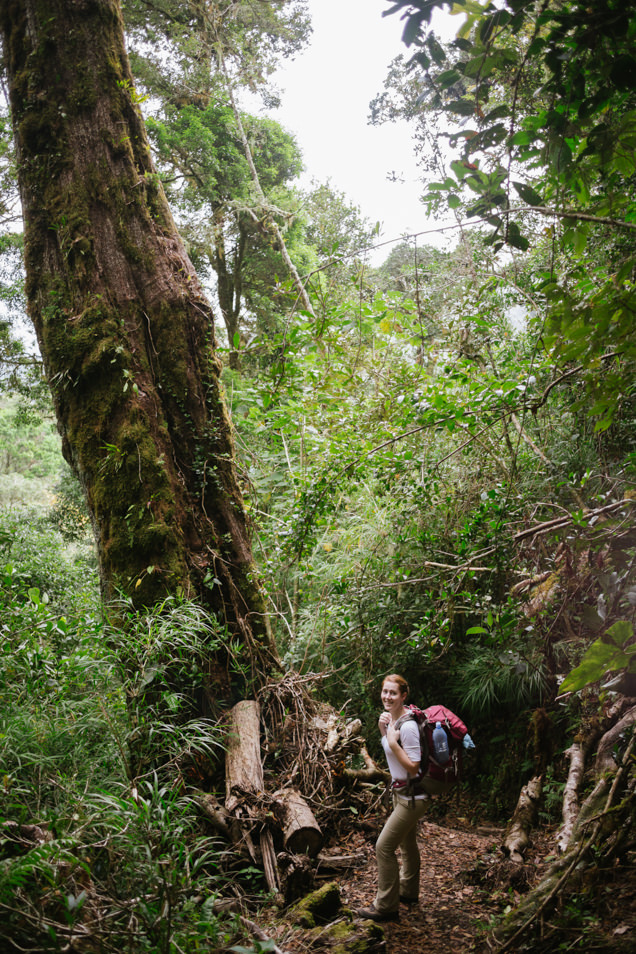A woman backpacking in a tropical cloud forest