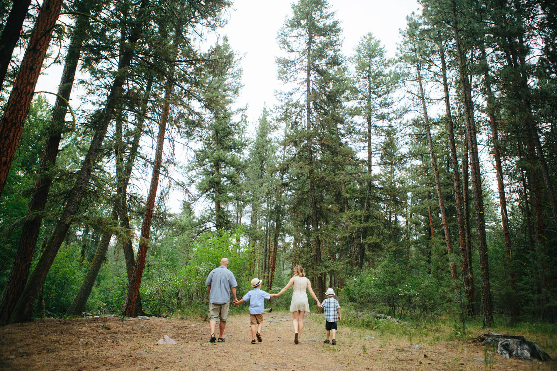 A family holds hands and walks through the woods together during their family session in Missoula Montana