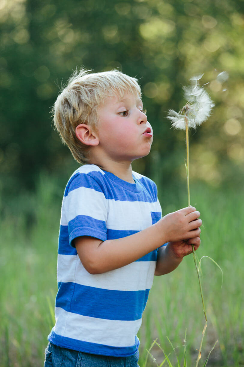 A young boy blows dandelion seeds during his family portrait session in Missoula Montana